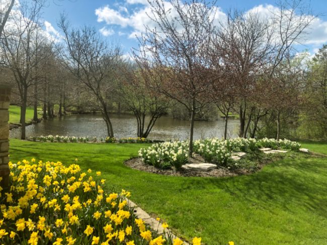 A garden with a tranquil pond showcasing tips for garden maintenance in summer, DuPage County, IL