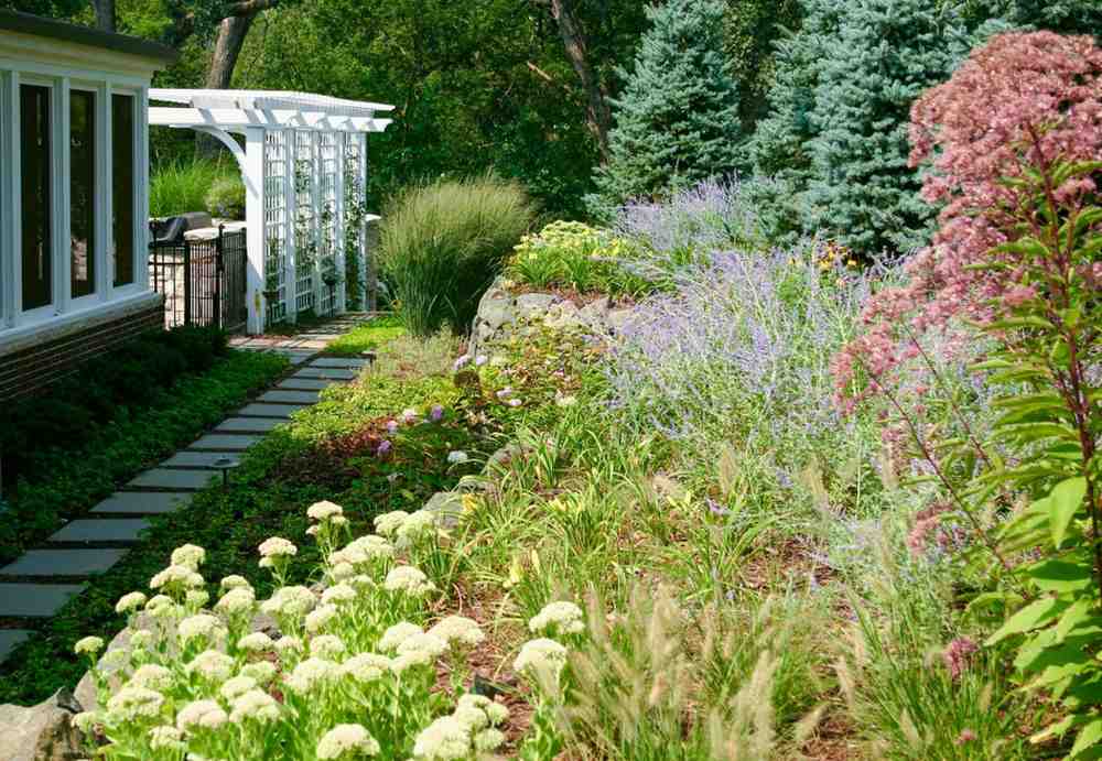 Vibrant backyard garden featuring perennials and shrubs in DuPage, IL