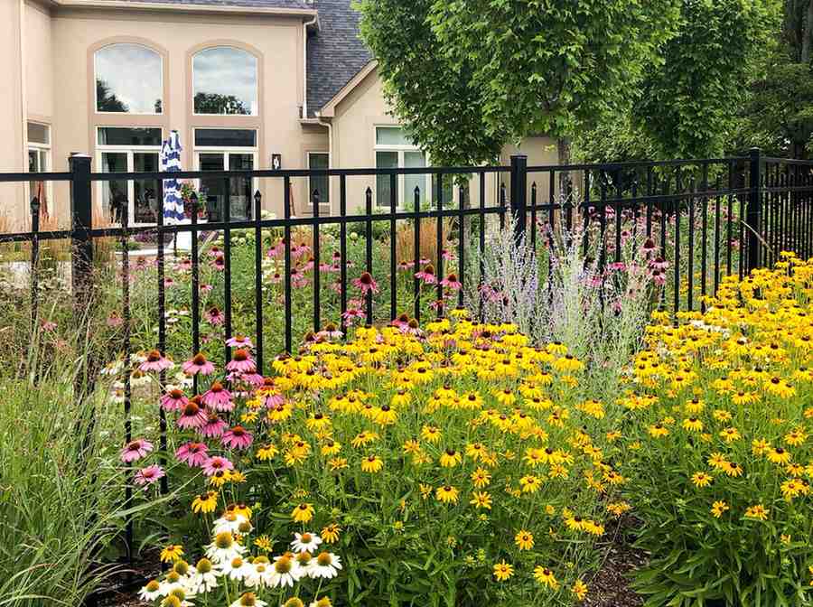 Backyard Garden with colorful perennials and metal fence in DuPage County, IL